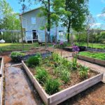 Discover the Heartbeat of Rock Island Farm with Betsy Eves Group