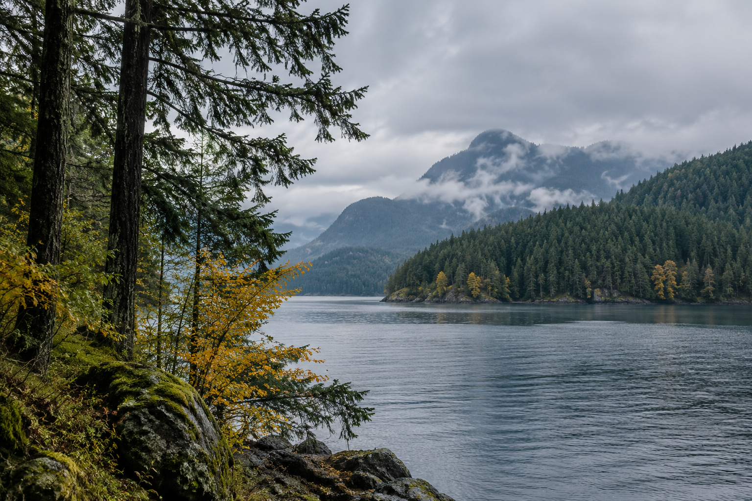 Evergreen trees and autumn leaves beside a misty forested lake.